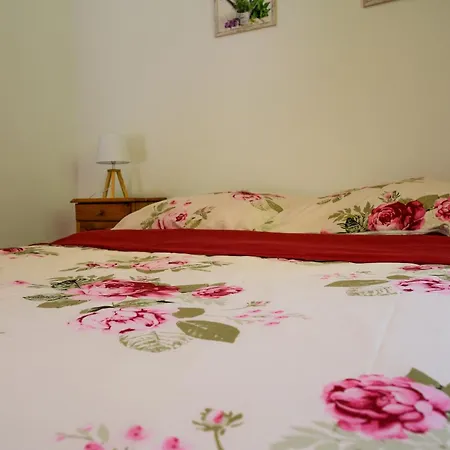 Pod Brzozami Holiday home