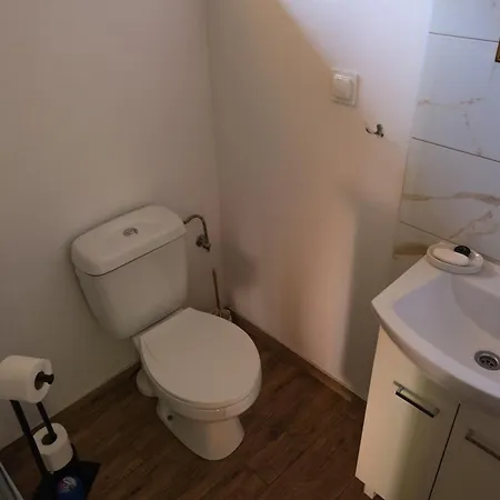 Holiday home Pod Brzozami Sarbsk