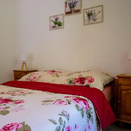 Pod Brzozami Holiday home